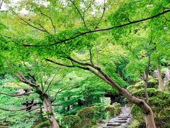 京都の素敵なお寺とかでもこういう風景に遭遇できそうですね。　

あぁ、私にもっと一眼レフを上手に操れるSkillがあればなぁ～と思います…。