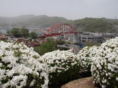 バスでやってきたのは音戸の瀬戸公園。平清盛が開削したとされる音戸の瀬戸を見下ろせる公園です。つつじがたくさん咲き誇りゴールデンウイークは見ごろとのことで本当に見事な光景を作り出していました。
つつじも色とりどりに咲いています。