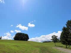 このあたりの冬の様子を以前にアップしたことがあります。夏の時季ということで1週間前ほど前に訪れたのですが、ここは牧草地だったようで何と刈り取ったすぐのようでした。地面の茶色が寂しかったので、撮影はせずに今回のリベンジとなりました。