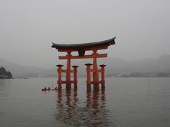 世界遺産の厳島神社の大鳥居が見えてきました。潮の満ち引きにより干潮時は鳥居のましたまで行けるのですが、この時点ではまだまだ水深は深そうでしたね。