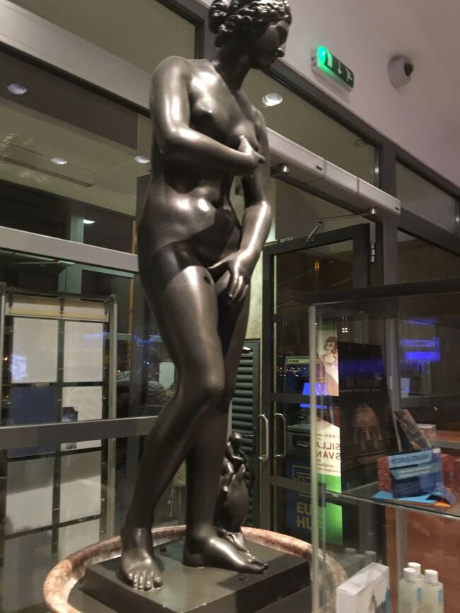 ルダシュ温泉<br />Rudas Gyógyfürdő és Uszoda<br /><br />入り口に立つ銅像。ここの温泉のお勧めは、最上階にあるドナウ川が一望できる露天風呂。ちなみに水着を付けて入ります。混浴です。景色はいいのですが、狭いので結構、混みます。あと、カップルが目の前でいちゃつきます。