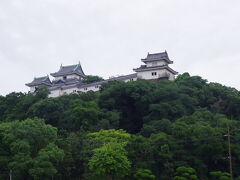 和歌山城は山の上にあったので、下から眺めて写真を撮っただけ。　

2008年に生まれて初めて和歌山を訪れた時に、和歌山城の目の前の東急インに宿泊したのが良い思い出です。　現在は、そのホテルはリブランドしてスマイルホテルになっています。　その時の旅行記は4トラを始めたばかりの頃、書いたので、写真がかなり少ないですが…↓
https://4travel.jp/travelogue/10586220　(2008年9月)
(ちなみに、旅行記の中に和歌山城の写真は出て来ません…)