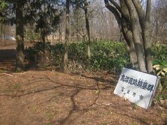 鳥沼の道路を挟んだ対岸にはこんな遺跡もあります。