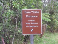 Thurston Lava Tube（サーストン溶岩洞窟）の入口にやって来ました。
あたりはジャングルのような植生です。