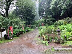 阿弥陀寺に向かって出発。
フォレストアドベンチャーの看板を右手に見ながらだらだら坂を、
箱根湯寮の先を右に、本格的な山道のスタートです。
アジサイの時期は汗びっしょりになるので服装には気を付けてください。
ハイキング　×　トレッキング　×　登山　◎
オヤジにはそんな感じの山道でした。
