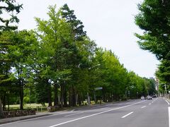 南北線で中島公園まで戻り、札幌パークホテルのシェアサイクルを借りました。

緑たっぷりの道路を進みます。