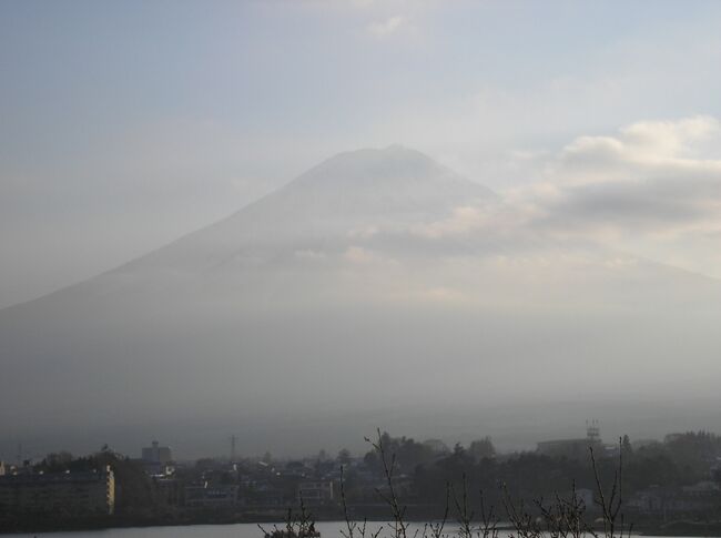 今日はこれで満足。