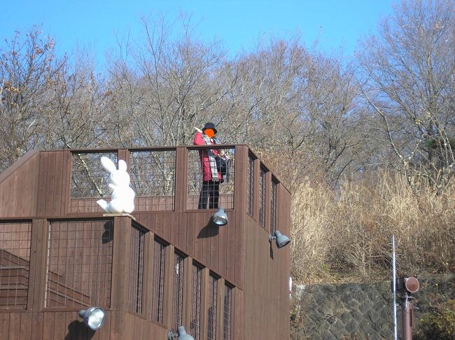 かちかち山展望台、ロープウェイがあります。