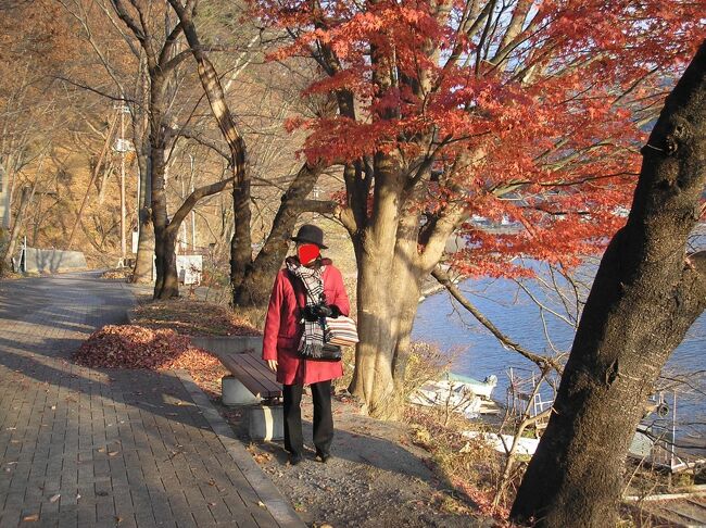河口湖周辺は紅葉。<br />次は南半球一周の予定です。