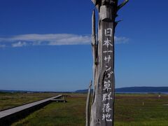 網走湖畔を北上し、能取湖畔にある卯原内サンゴ草群生地に着いた。
ここは、かつて日本一のサンゴ草の群生地だった場所で、学生の頃、初めて北海道を旅した時にも訪れ、一面真っ赤に色付いたサンゴ草で埋め尽くされた景色が圧巻だったのを思い出す。
ところが、最近になって行われた土壌改良工事が仇となり、サンゴ草は見る影もなく激減してしまったそうだ。
木道を歩いてみたが、確かにサンゴ草はわずかしか見られなかった。
良かれと思ってやったのだろうが、結果、安に自然に手を加えることの危うさを改めて突き付けられた訳で、これを教訓にしてもらいたいものだ。
そして、何とか元の風景に戻してもらいたいと切に願う。