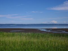 地図を見ていたら、能取湖の湖口近くに、能取原生花園という文字を見つけたので、そちらへ向かってもらうことにした。
湖畔沿いの道から望む能取湖は、能取岬から見るのとは違った表情をしていてとても良い感じだ。