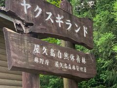 安房から山道に入り、ヤクスギランドに到着