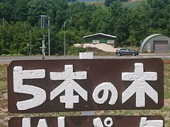 駐車場に戻り、売店と反対方向(旭川側)の斜面に目をやると「５本の木」と書かれた看板が留まりました。
駐車場からは何も見えないけど、看板付近は少し登るので国道の向こうに拡がる森の隙間から視認できます。この「５本の木」は嵐が出演したＪＡＬ先得のＣＭで有名になりました。
(10:16)
https://www.youtube.com/watch?v=eZuxQYKngH0