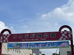 北関東道に７時には乗る！と決め夫を送り出してさっと支度をして出発、８時ちょっと前に無事到着しました（やればできるじゃん（笑））。
館林までは以前は高速がなく、淡々と高速ではない道でしか行けなかった為「遠い場所」に認定されていましたが「高速使えば来られなくはない場所」と情報を更新します（笑）