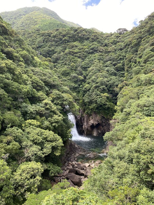 屋久島だけ晴れまくりの4日間 1 屋久島空港到着から千尋の滝 屋久島 鹿児島県 の旅行記 ブログ By Tomomiさん フォートラベル