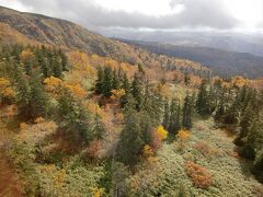 ロープウェイで山頂へ♪標高約1200mから旭岳5合目に当たる1600mまでの空中散歩。