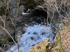 白骨温泉と言えば乳白色の温泉ですが
今回は入れませんでした。
3日入れば3年風邪をひかないと言うらしい