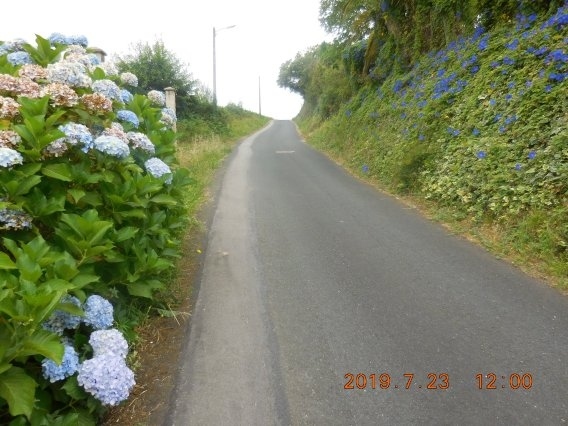 　ウメの町の坂が急なのは覚えていたが、こんな急坂だったかなーと思えるほどの勾配だった。しかも延々と続いている。前を軽装の女性巡礼二人が歩いていて、あの婆ちゃん二人連れも登っているのが目に入った。ホント、婆ちゃんは大変そう。今日はさすがにバテているのか、息子だか孫だかが婆ちゃんのバックパックも背負ってあげてる。親孝行（か婆ちゃん孝行）を絵に描いたような二人。