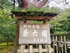 腹ごなしも兼ねて、兼六園にやってきました。池の周辺に、望遠カメラで何かを撮影する方が沢山いました。この時期、毎年フクロウの仲間「アオバズク」が帰ってくるようです。記憶が定かではないですが里帰り出産的なものだったような・・・。東南アジアからやってきたそうです