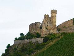 鼠塔の北側にエーレンフェルス城(Ehrenfels Castle)が聳えています。防衛目的で13世紀初めに建造された城で、現在は廃城。