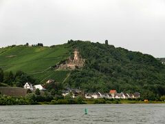 ワイン畑の斜面にフリュステンベルグ城址(Ruin Burg Furstenberg)が見えます。13世紀初め頃に建てられた城ですが、現在は使用されておらず、遺跡として保存されています。