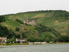 川岸に次々と城が現れます。丘上にあるのは中世建造のシュターレック城で、現在は古城ユースホステル(Hostel Burg Stahleck Bacharach)となっています。