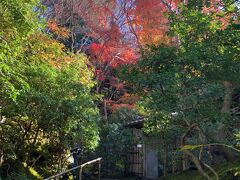 時間になったので瑠璃光院へ。門の前で予約の確認とコロナのアプリの確認をしてもらって入場します。

近年注目されているだけあってとても素晴らしい造りをしていました。