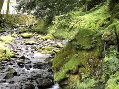 苔生した龍の口から水がながれいましたよ。