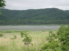 で、歩くこと約20分。
達古武湖岸にとうちゃけ。

至近の道路から湖岸までは結構離れていますね。
湿原湖ならではの風情といえるのかもしれませんね。