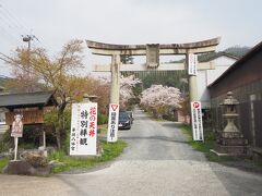 続いてバスで向かったのは平岡八幡宮。

花の天井の特別拝観を見にやってきました。
毎年、春と秋の2回公開されるそうです。

