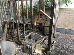 施設の敷地内に源泉の井戸があります。
泉質はナトリウム・塩化物泉で、東京の天然温泉付き銭湯ではお馴染みのコーヒー色の『黒湯』です。
地下1,500mから汲み上げられる温泉は、泉温が低いため加温して利用されています。
お風呂は男湯の場合、内風呂1つと風水風呂・滝見風呂・香り風呂・五右衛門風呂の4種類の露天風呂、サウナと露天の水風呂があります。
滝見風呂はぬる湯で、滝を見ながらゆったりと長湯ができました。