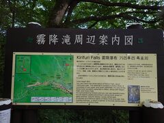 食後はせっかくなので、近くにある「霧降の滝」を見物していくことに。