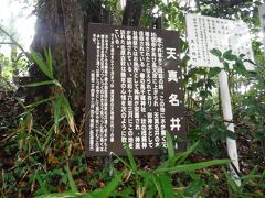 さて、荒立宮から一寸戻り、「天真名井」へ。神代川のほとりにあります。