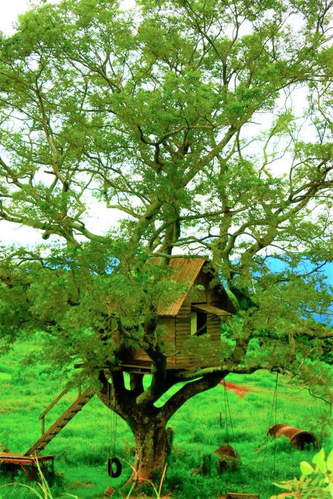 お山のてっぺんにある秘密基地 阿久根 薩摩川内 いちき串木野 鹿児島県 の旅行記 ブログ By さつまおごじょさん フォートラベル お山のてっぺんにある秘密基地 阿久根 薩摩川内 いちき串木野 鹿児島県 の旅行記 ブログ By さつまおごじょさん フォートラベル