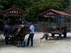 水着に着替えて自転車で出発～
今から出発！の時におそそみたい。バケツで受けてます。