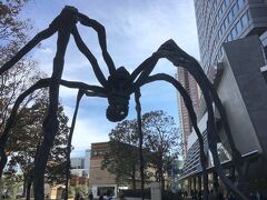 六本木ヒルズは所々にアート作品があり、歩いているだけで色々なものを目にします。
森タワー前の広場・66プラザに出ると、巨大な黒いクモの彫刻作品がありました。
