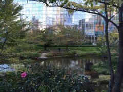 森タワーからテレビ朝日に向かう途中に毛利庭園があり、立ち寄りました。
商業ビルやオフィスビルが林立する中で、珍しく緑がたくさんある場所になっています。
緑に囲まれた池があり、周囲にはサザンカらしいピンクの花が咲いていました。
