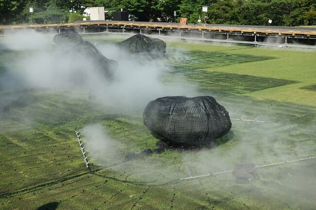 その縁台に座ると足元が意外に霧で涼しいです。<br />結構濡れちゃうけどねw