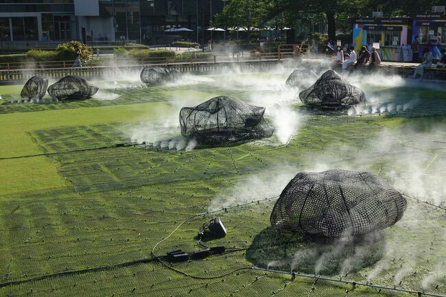 霧がモクモク出ていますねー。<br />見ようによっては温泉のようです。