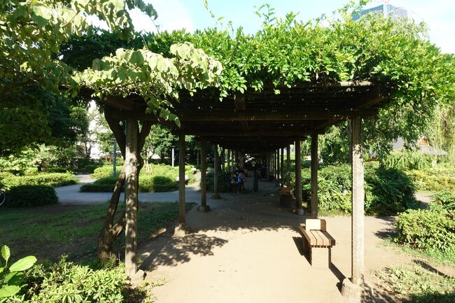 緑の生い茂るパーゴラが良い感じです。<br />ベンチもありました。