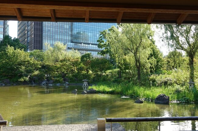 休憩所で池を見ながら少しのんびりとしました。