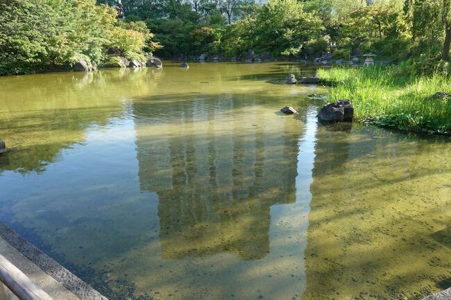 池だけ見てると遠くに来た感じです。<br />でも写っているビルで現実に戻ります。<br />さて、そろそろ戻りましょうかね。