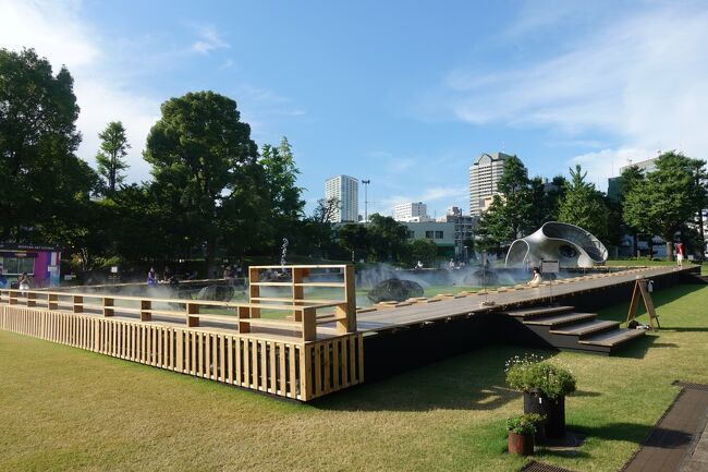 芝生広場に戻りました。<br />まだ霧がモクモクと出ていますねー。