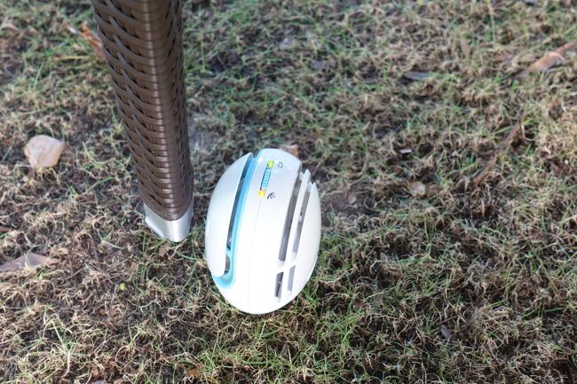 足元にラベンダーの香りが、、、<br />虫除けですね。