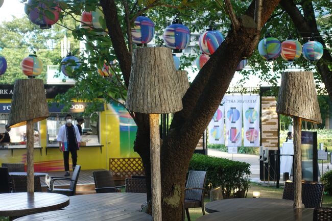 ランプシェードが木w<br />可愛い。