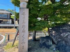 道の駅　柿の郷　くどやま