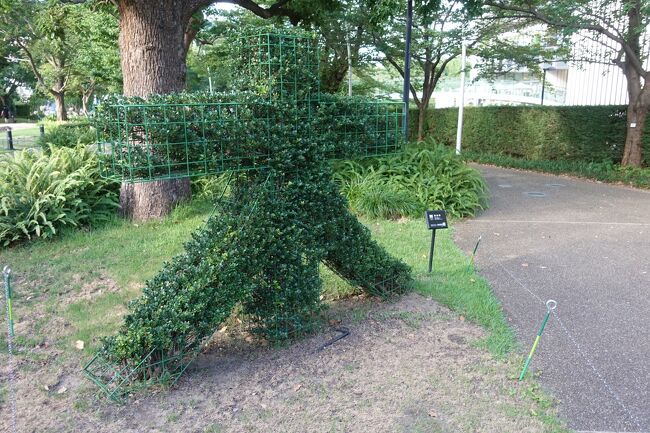 木の木、、、、w<br /><br />木になる木も見て見たい。