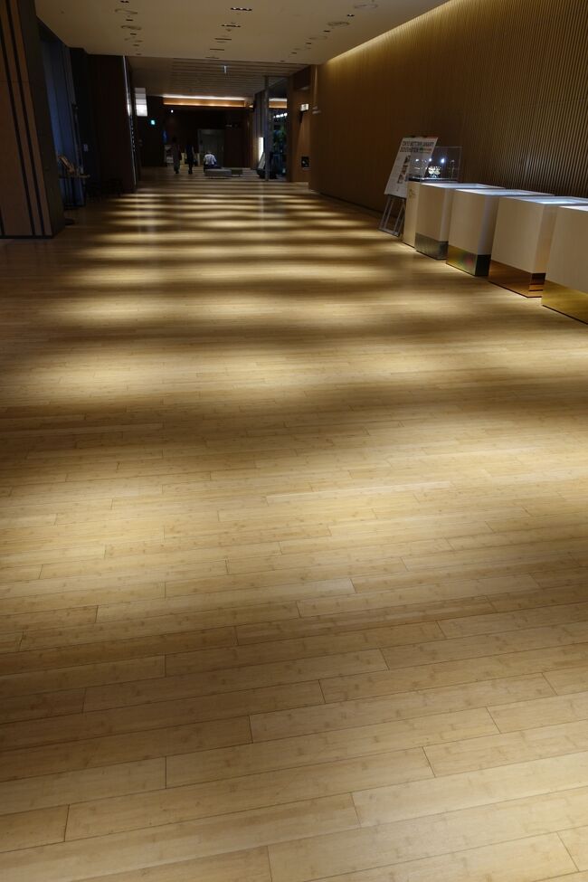 振り返ったら通路の照明のあたり方がかっこいい！