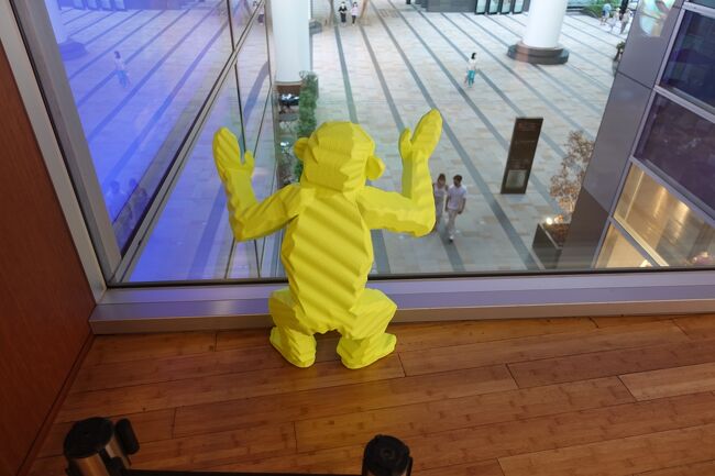 おさるさんが広場を見下ろしています。<br />なんか可愛い！