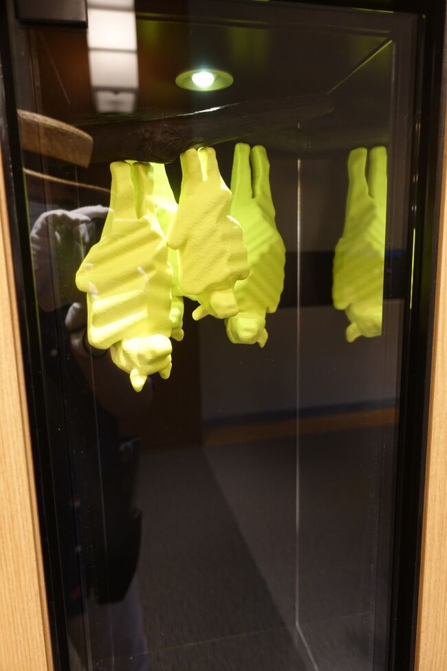 コウモリさん？